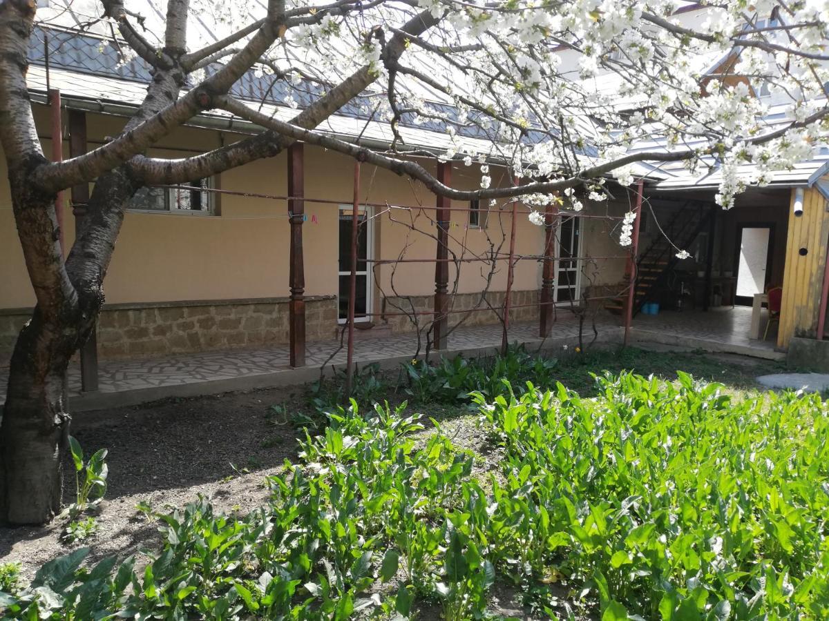 Casa Bucur Hotel Tîrgu Ocna Екстериор снимка